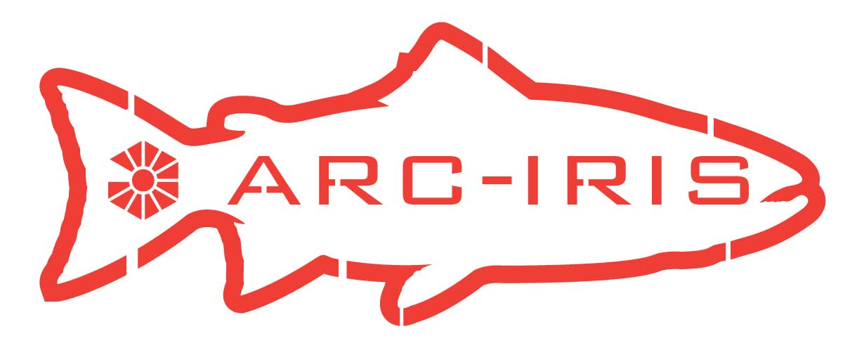 Big Fish Sticker - Arc-Iris